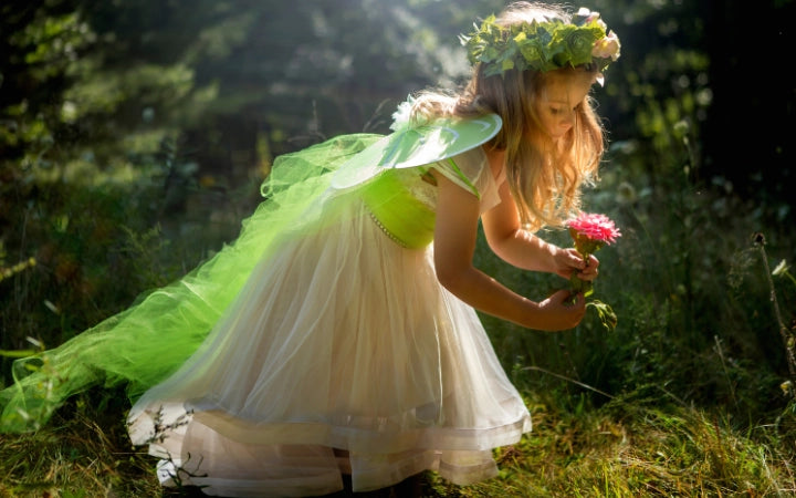 fairy dresses for girls