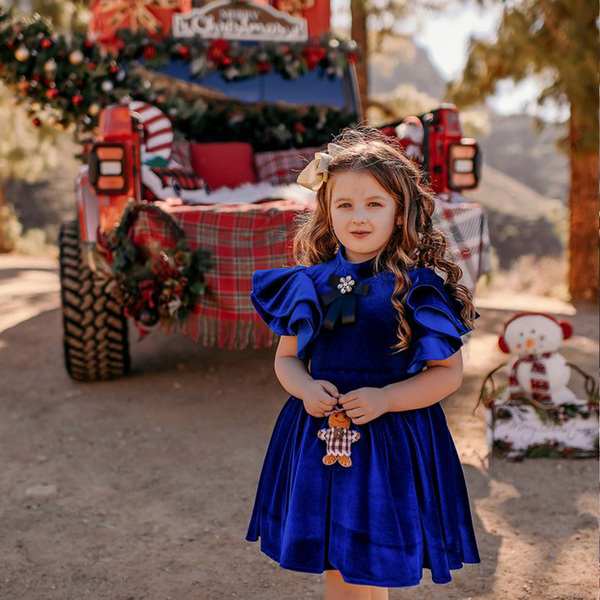 baby holiday dresses for christmas Luxury Red Velvet Christmas Baby Dress,elegant Baby Dress,baby Toddler Occasion Dress,gift for Baby,holiday Toddler Dress